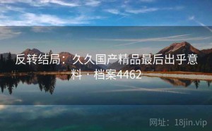 反转结局：久久国产精品最后出乎意料 · 档案4462
