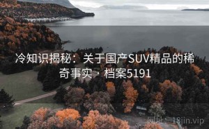 冷知识揭秘：关于国产SUV精品的稀奇事实 · 档案5191