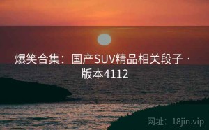 爆笑合集：国产SUV精品相关段子 · 版本4112