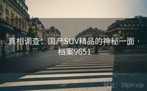 真相调查：国产SUV精品的神秘一面 · 档案9651