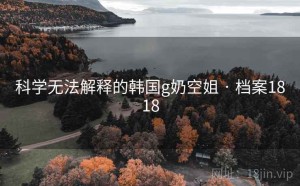 科学无法解释的韩国g奶空姐 · 档案1818