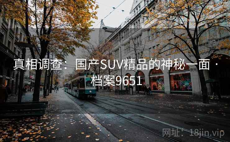 真相调查：国产SUV精品的神秘一面 · 档案9651