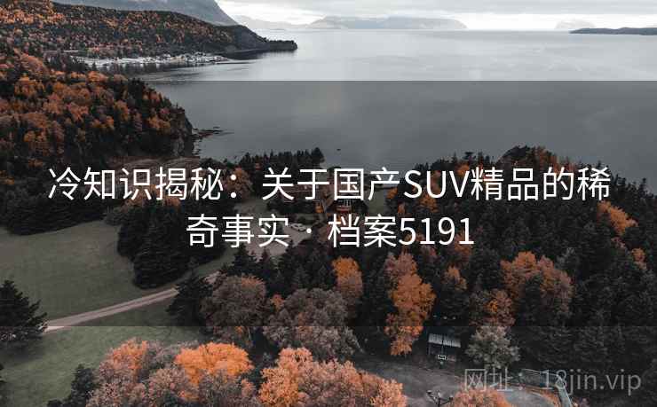冷知识揭秘：关于国产SUV精品的稀奇事实 · 档案5191
