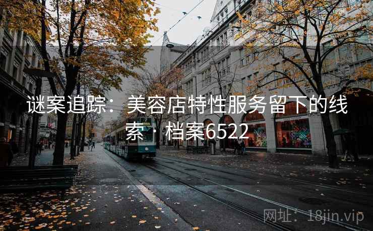 谜案追踪：美容店特性服务留下的线索 · 档案6522